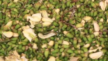 Şifalı çay yapımında kullanılan kurutulmuş otlar.