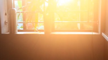 Sabah güneşi pencereden süzülüyor.