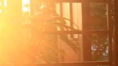 Sabah güneşi pencereden süzülüyor.