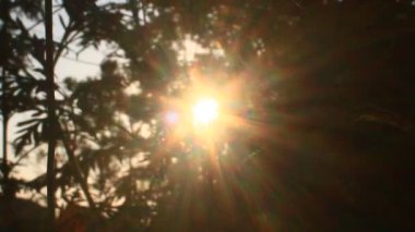 Parlak sabah güneşi