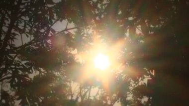 Parlak sabah güneşi