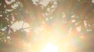 Parlak sabah güneşi