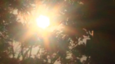 Parlak sabah güneşi