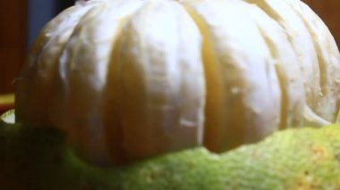 Tabakta greyfurt var.