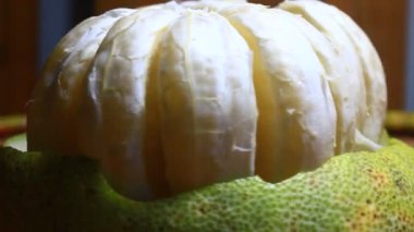 Tabakta greyfurt var.