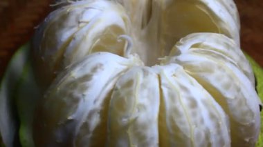 Tabakta greyfurt var.