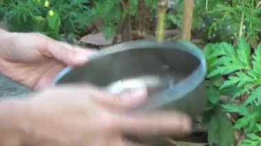 Çiçek tohumu toplayan kız