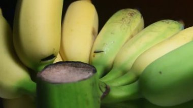 Tabakta olgun muzlar