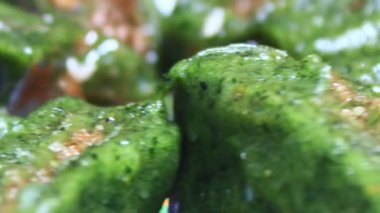 kek pilav ve yapraktan yapılır.