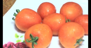 plaka üzerinde domates