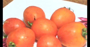 plaka üzerinde domates