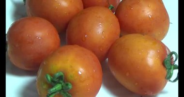 plaka üzerinde domates