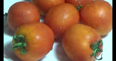 plaka üzerinde domates