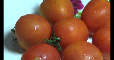 plaka üzerinde domates