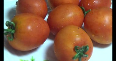 plaka üzerinde domates