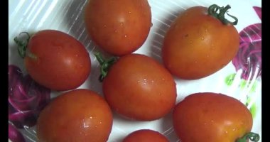 plaka üzerinde domates