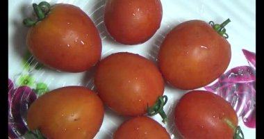 plaka üzerinde domates