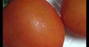 plaka üzerinde domates