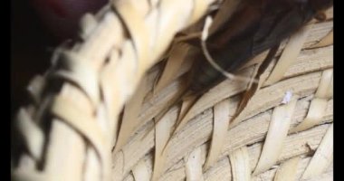 Kahverengi cırcır böceği sepeti