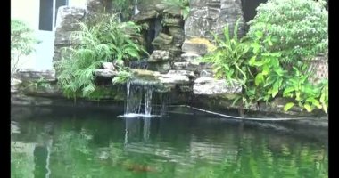 Japon balığı gölette yüzüyor.