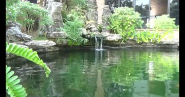 Japon balığı gölette yüzüyor.