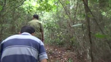 20 Kasım 2024, Haiduong, Vietnam. Bunlar tıptan anlayan adamlar. Onlar şifalı bitkiler.. 