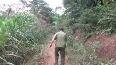 20 Kasım 2024, Haiduong, Vietnam. Bunlar tıptan anlayan adamlar. Onlar şifalı bitkiler. İlaç alabilmek için yüksek dağlara tırmanmak zorundalar..