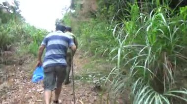 20 Kasım 2024, Haiduong, Vietnam. Bunlar tıptan anlayan adamlar. Onlar şifalı bitkiler. İlaç alabilmek için yüksek dağlara tırmanmak zorundalar..