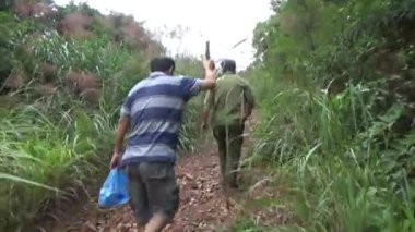 20 Kasım 2024, Haiduong, Vietnam. Bunlar tıptan anlayan adamlar. Onlar şifalı bitkiler.. 