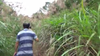 20 Kasım 2024, Haiduong, Vietnam. Bunlar tıptan anlayan adamlar. Onlar şifalı bitkiler.. 