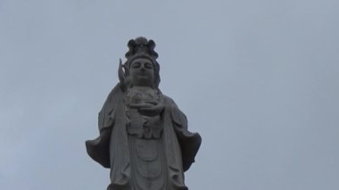 20 Kasım 2024, Haiduong, Vietnam. Bunlar tıptan anlayan adamlar. Onlar şifalı bitkiler.. 