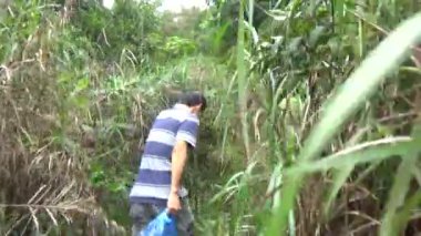 20 Kasım 2024, Haiduong, Vietnam. Bunlar tıptan anlayan adamlar. Onlar şifalı bitkiler.. 