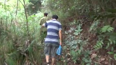 20 Kasım 2024, Haiduong, Vietnam. Bunlar tıptan anlayan adamlar. Onlar şifalı bitkiler.. 