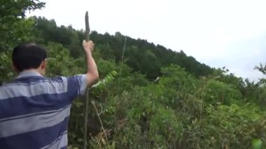 20 Kasım 2024, Haiduong, Vietnam. Bunlar tıptan anlayan adamlar. Onlar şifalı bitkiler.. 