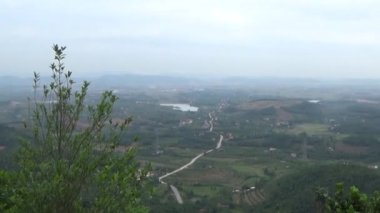 20 Kasım 2024, Haiduong, Vietnam. Bunlar tıptan anlayan adamlar. Onlar şifalı bitkiler.. 