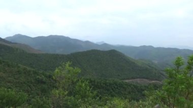 20 Kasım 2024, Haiduong, Vietnam. Bunlar tıptan anlayan adamlar. Onlar şifalı bitkiler.