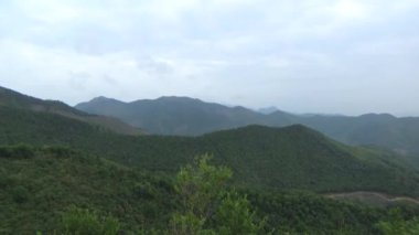 20 Kasım 2024, Haiduong, Vietnam. Bunlar tıptan anlayan adamlar. Onlar şifalı bitkiler.