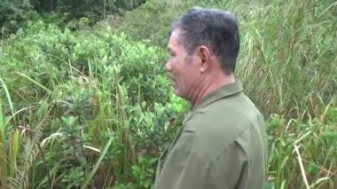 20 Kasım 2024, Haiduong, Vietnam. Bunlar tıptan anlayan adamlar. Onlar şifalı bitkiler.. 