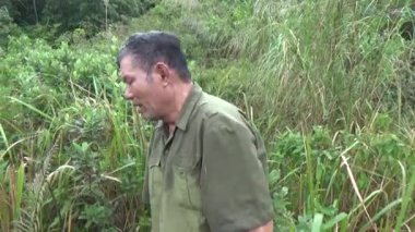 20 Kasım 2024, Haiduong, Vietnam. Bunlar tıptan anlayan adamlar. Onlar şifalı bitkiler.. 