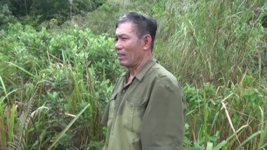 20 Kasım 2024, Haiduong, Vietnam. Bunlar tıptan anlayan adamlar. Onlar şifalı bitkiler.. 