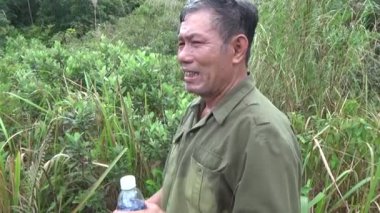 20 Kasım 2024, Haiduong, Vietnam. Bunlar tıptan anlayan adamlar. Onlar şifalı bitkiler.. 