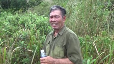 20 Kasım 2024, Haiduong, Vietnam. Bunlar tıptan anlayan adamlar. Onlar şifalı bitkiler.. 