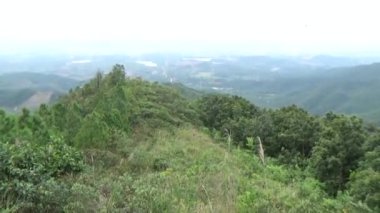 20 Kasım 2024, Haiduong, Vietnam. Bunlar tıptan anlayan adamlar. Onlar şifalı bitkiler.. 