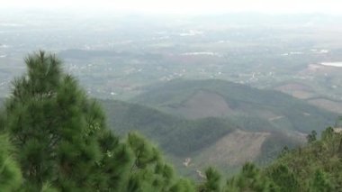 20 Kasım 2024, Haiduong, Vietnam. Bunlar tıptan anlayan adamlar. Onlar şifalı bitkiler.. 