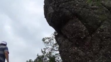 20 Kasım 2024, Haiduong, Vietnam. Bunlar tıptan anlayan adamlar. Onlar şifalı bitkiler.. 