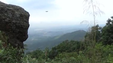 20 Kasım 2024, Haiduong, Vietnam. Bunlar tıptan anlayan adamlar. Onlar şifalı bitkiler.. 