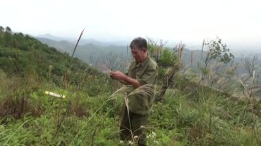 20 Kasım 2024, Haiduong, Vietnam. Bunlar tıptan anlayan adamlar. Onlar şifalı bitkiler.. 