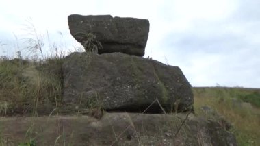 20 Kasım 2024, Haiduong, Vietnam. Bunlar tıptan anlayan adamlar. Onlar şifalı bitkiler.. 