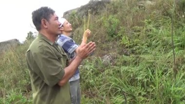 20 Kasım 2024, Haiduong, Vietnam. Bunlar tıptan anlayan adamlar. Onlar şifalı bitkiler.. 