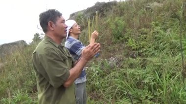 20 Kasım 2024, Haiduong, Vietnam. Bunlar tıptan anlayan adamlar. Onlar şifalı bitkiler.. 